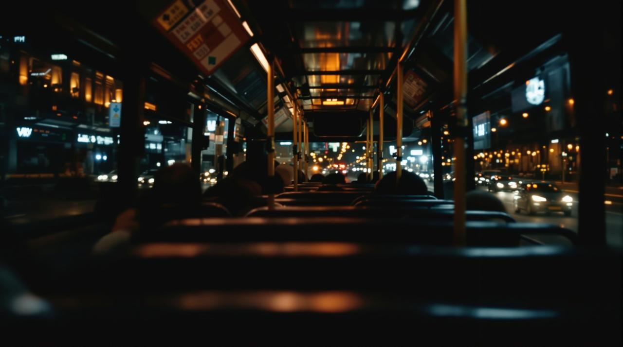 风行视频-城市之光：午夜巴士代表作封面